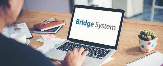 Bridge System-big-image